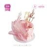 Koleksi kue : Birthday Cake Pink Elegant