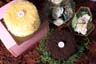 Koleksi kue : Chocolate Cake and Cheese Cake