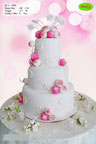 Koleksi kue : Snowy Look Wedding Cake